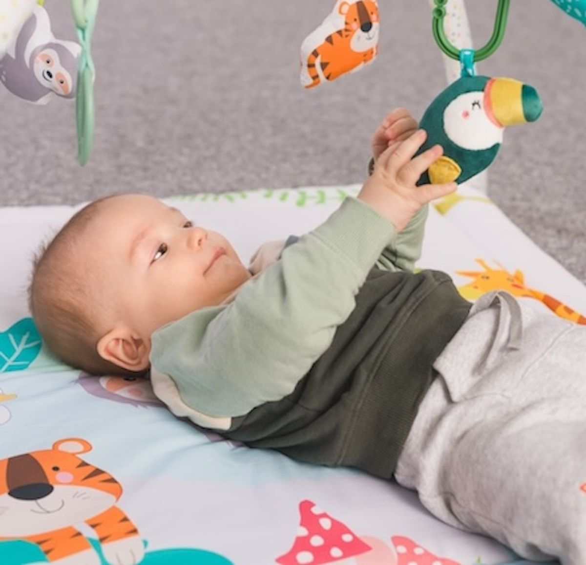 Fillikid | Babygym | Jungel Safari